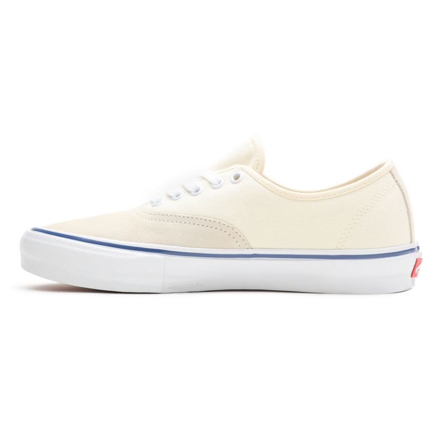 Vans Skate Authentic Blanche | VN986F9VT03