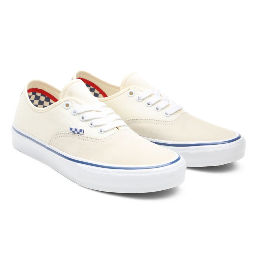 Vans Skate Authentic Blanche | VN986F9VT03