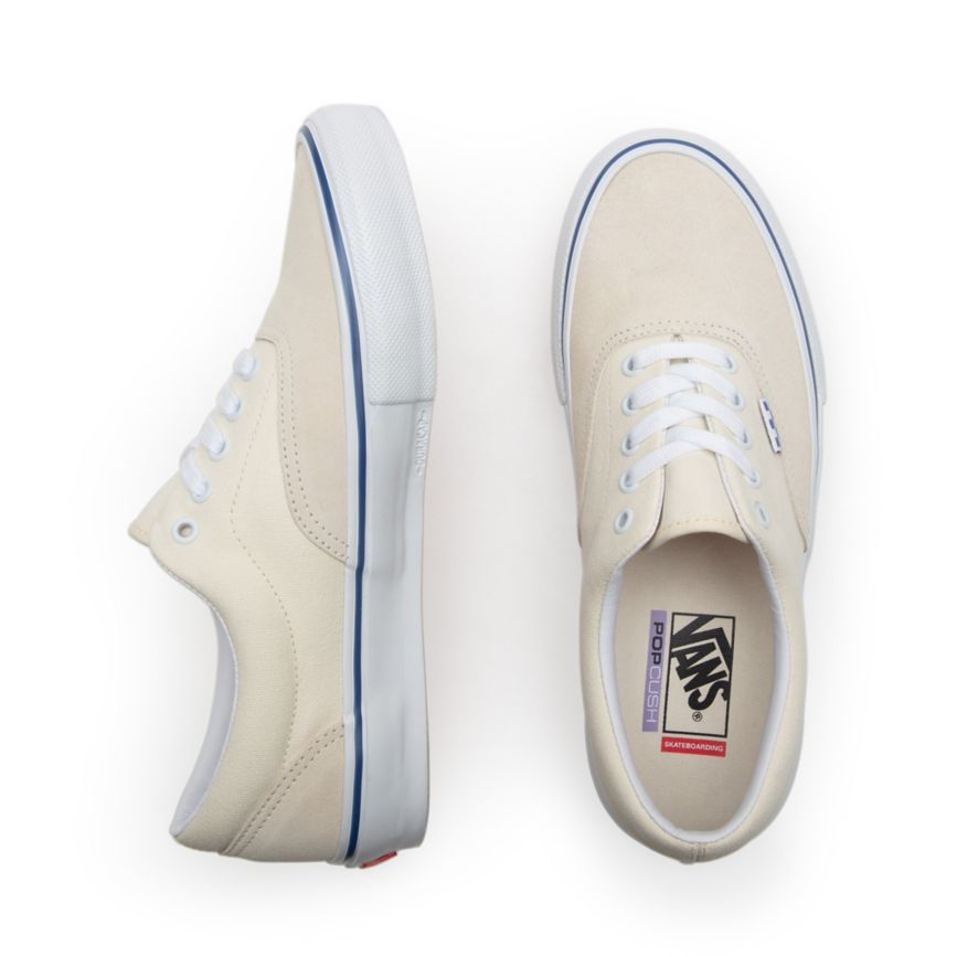 Vans Skate Era Blanche | VN493N3ZA37