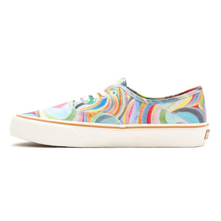 Vans X Chris Johanson Authentic SF Multicolore | VN303P3DD13